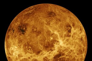Veneros paviršius